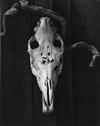 ADAMS, ANSEL (1902-1984) Studies in texture, a selection of 14 photographs.